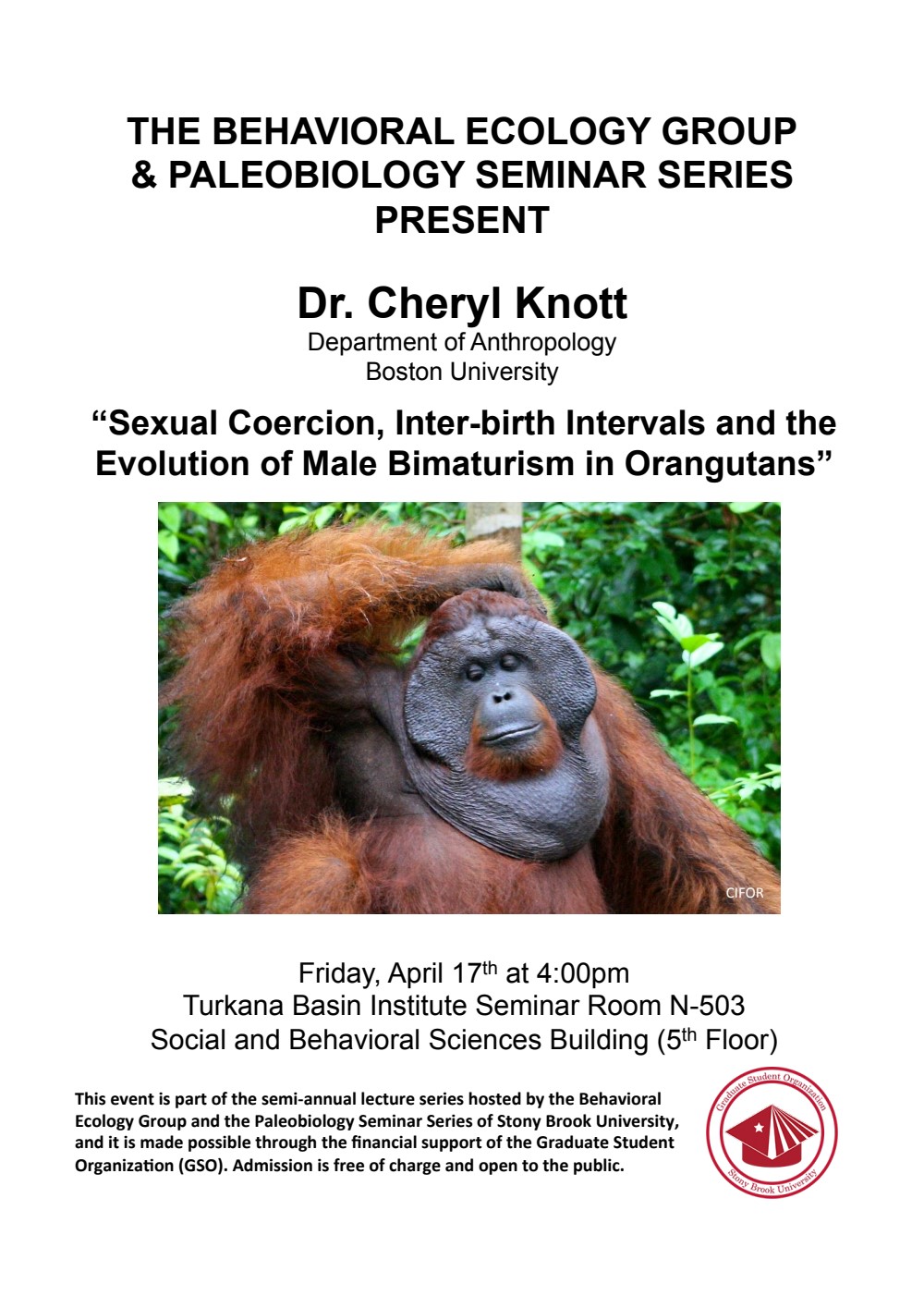 Sexual Coercion Inter Birth Intervals And The Evolution Of Male
